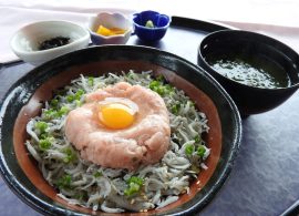 ネギトロしらす丼